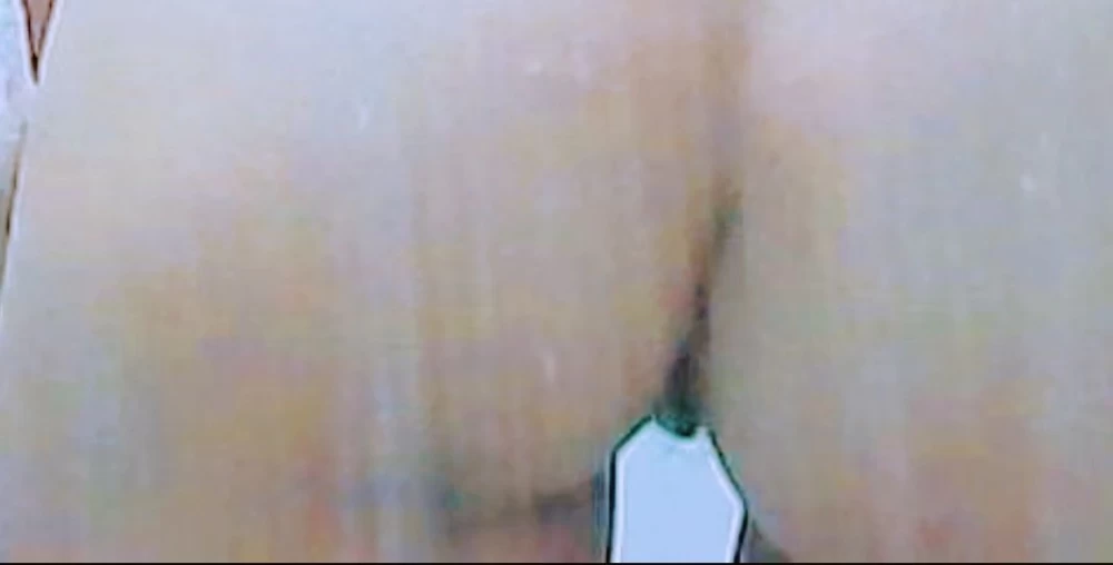 1000049834.jpg